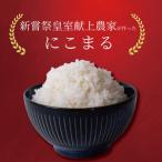 米 10kg