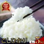 5kg×4回