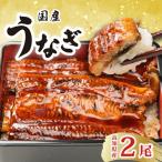 うなぎ蒲焼 2尾