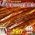 温泉うなぎ 蒲焼 3尾