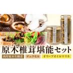 原木椎茸堪能セット 肉厚原木生椎茸 500g