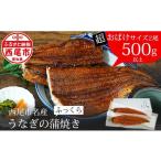 ふるさと納税 三河産うなぎ「超おばけサイズ蒲焼き2尾」合計500g以上鰻 ウナギ うなぎ 蒲焼 国産 うなぎ蒲焼 タレ付き たれ 国産うなぎ 蒲焼き .. 愛知県西尾市