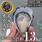 真ガキ 大入島オイスター 約1.3kg