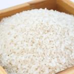 No.2114古関商店 コシヒカリ 精米2kg