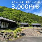 体験チケット 電子クーポン券 まるかりの里キャンプ場