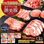 諫美豚 バラエティセット3kg 豚肉 肩ロース