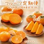 果物定期便 ひらたねなし柿 富有柿 田村みかん