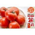 ショッピングふるさと納税 先行予約 ふるさと納税 先行予約  飛騨トマト 麗月大玉 20玉 トマト【27-1】 岐阜県下呂市