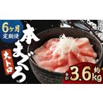 本マグロ 養殖 大トロ 皮付き 約600g