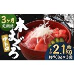 本マグロ 中トロ 約700g