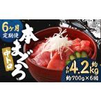 本マグロ 中トロ 約700g