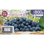 fu.... налог голубика 800g ( 400g × 2 упаковка ) [2026 год 6 месяц c отправка начало ] [AK003sa] Ibaraki префектура Sakura река город 