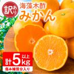 訳あり 海藻木酢みかん 計 5kg