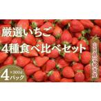 ふるさと納税 【先行予約】いちご４品種食べ比べ　300ｇ×4パック｜果物 くだもの フルーツ 苺 イチゴ いちご ストロベリー 旬の品種 産地直.. 山口県宇部市