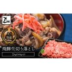 A5飛騨牛切り落とし1kg 500g×2
