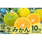 由良 早生 みかん サイズおまかせ 10kg