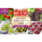 果樹王国山形 南陽のフルーツ定期便A マルエ青果