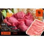 ふるさと納税 【3か月定期便】【飛騨牛】モモもしくはカタ 500g (すき焼き・しゃぶしゃぶ用) 2025/9/19〜 岐阜県垂井町