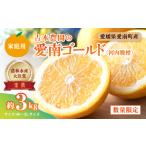 ふるさと納税 【先行�