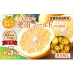 ふるさと納税 【先行�