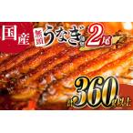 ふるさと納税 国産うなぎ蒲焼2尾（無頭）計360g以上 新富町産鰻 ウナギ 支援 鰻楽 送料無料【B555-30】 宮崎県新富町