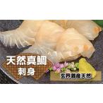 すぐ食べ鯛 お刺身天然真鯛600g 50g×12P