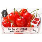 ふるさと納税 さくらんぼ 紅秀峰 秀Lサイズ 1kg バラ詰め 化粧箱 (500gx2パック) サクランボ 先行予約 2025年産 令和7年産 (さくらんぼ 山形県.. 山形県尾花沢市