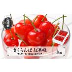 ふるさと納税 さくらんぼ 紅秀峰 秀Lサイズ 1kg バラ詰め 化粧箱 (500gx2パック) サクランボ 先行予約 2024年産 令和6年産 (さくらんぼ 山形県.. 山形県尾花沢市