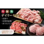三栄のデイリーセット 肉セット