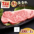 佐賀牛 サーロインステーキ300g HAD026