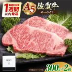 佐賀牛 サーロインステーキ600g HAD027