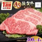 佐賀牛 サーロインステーキ1.2kg HAD028