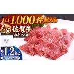佐賀牛 A5 赤身 モモ 400g焼肉用 HAD095