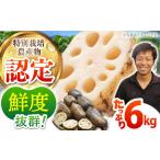 fu.... налог [12/15 уплата до год внутри отправка ] земля изначальный . север блок производство грязь имеется лотос корень 6kg(3kg×2) [HAE002] лотос корень лотос овощи Saga префектура . север блок 