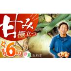 たまねぎ 約6kg