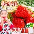 王様のいちごいちごさん400g×2箱むらおか農園