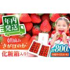 王様のいちごさがほのか400g×2箱むらおか農園