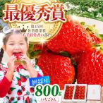 王様のいちご いちごさん400g×2箱