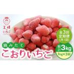 王様のいちご 1kg冷凍いちご むらおか農園