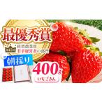 王様のいちご いちごさん 400g