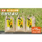 令和4年産 玄米 さがびより 15kg