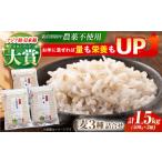 麦詰合 500g×3
