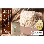 令和6年産 夢しずく玄米5kg HAJ015