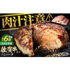 老舗の佐賀牛ハンバーグ 150g×6個