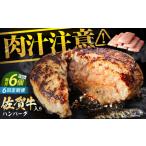 老舗の佐賀牛ハンバーグ 150g×6個