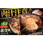 老舗の佐賀牛ハンバーグ 150g×6個