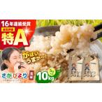 令和7年産 さがびより 玄米 10kg