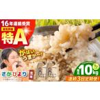 さがびより 玄米 10kg