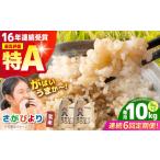 さがびより 玄米 10kg