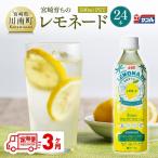 サンA 宮崎育ちのレモネード 500ml